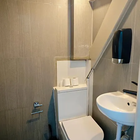 Apartment Hoza Attic