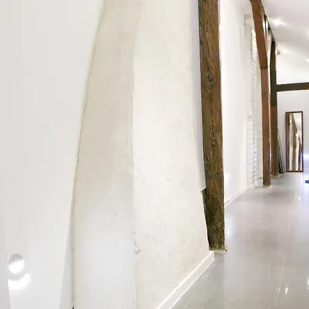 Apartment Hoza Attic *