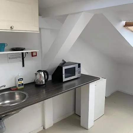 Apartment Hoza Attic