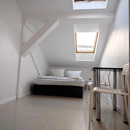 Апартаменты Hoza Attic *