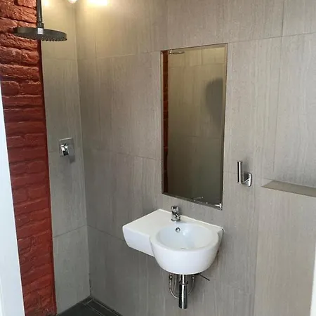 Апартаменты Hoza Attic *